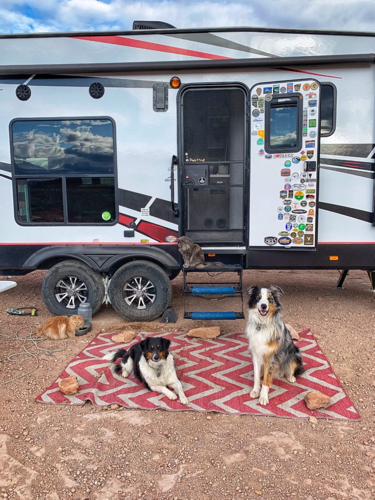 The pets love boondocking as well
